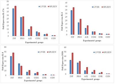 Pathogenesis-Related Gene Expression in Response to Trachyspermum ammi Supplementation Along With Probiotics in Chicken Salmonellosis and Insights in Drug Therapeutics